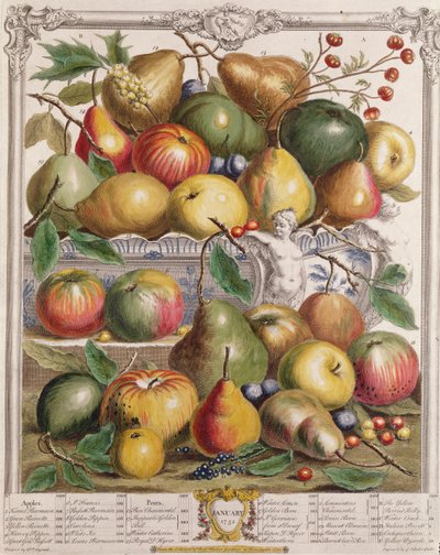 1月、「果物の12か月」より、ロバートファーバー（c.1674-1756）、Gerard Vandergucht（1696-1776）1732（色の彫刻）によって彫刻 作： Pieter Casteels